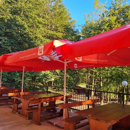 Great Mountain B&B Platak Buitenkant foto