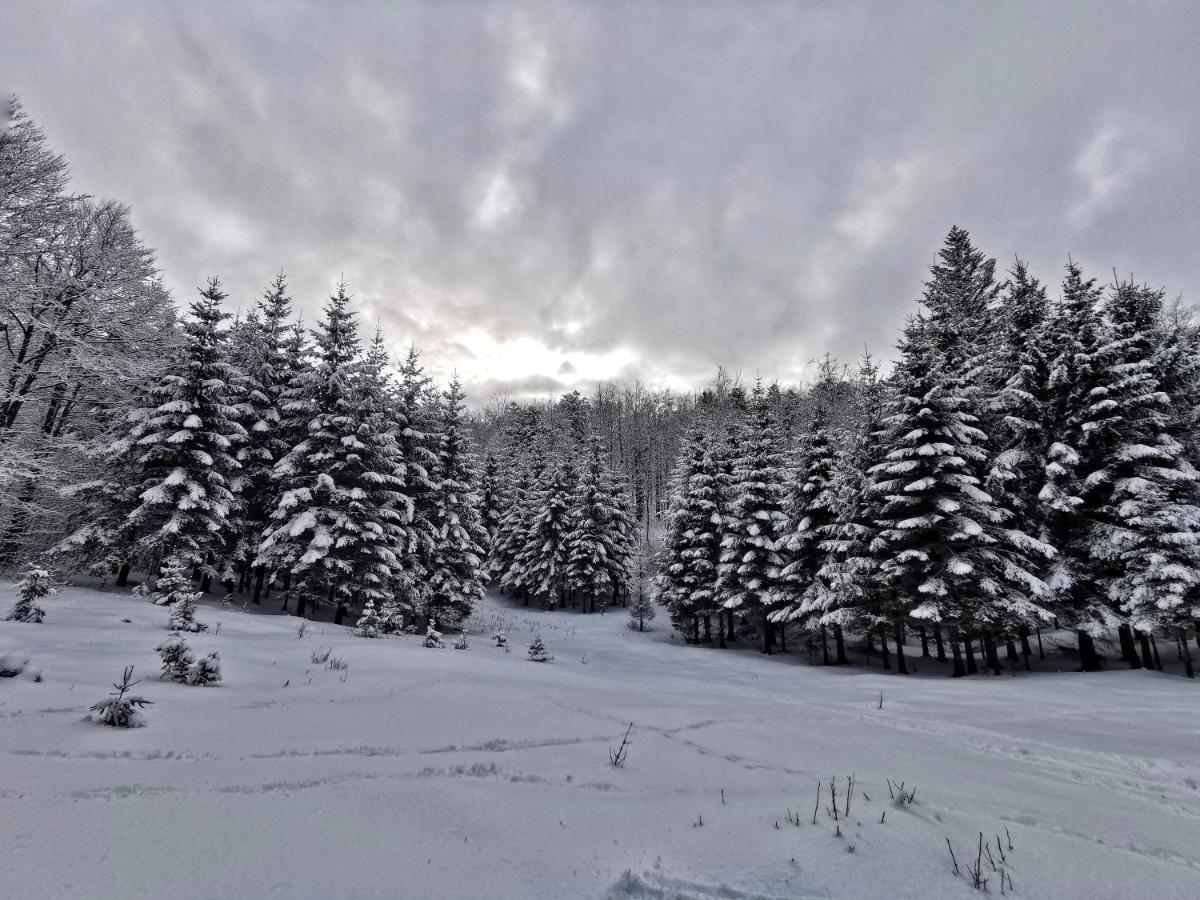 Great Mountain B&B Platak Buitenkant foto