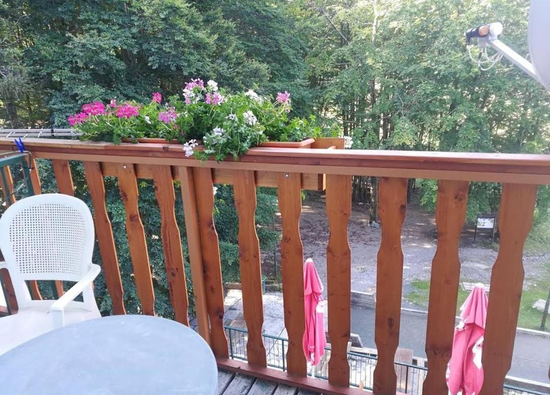Great Mountain B&B Platak Buitenkant foto