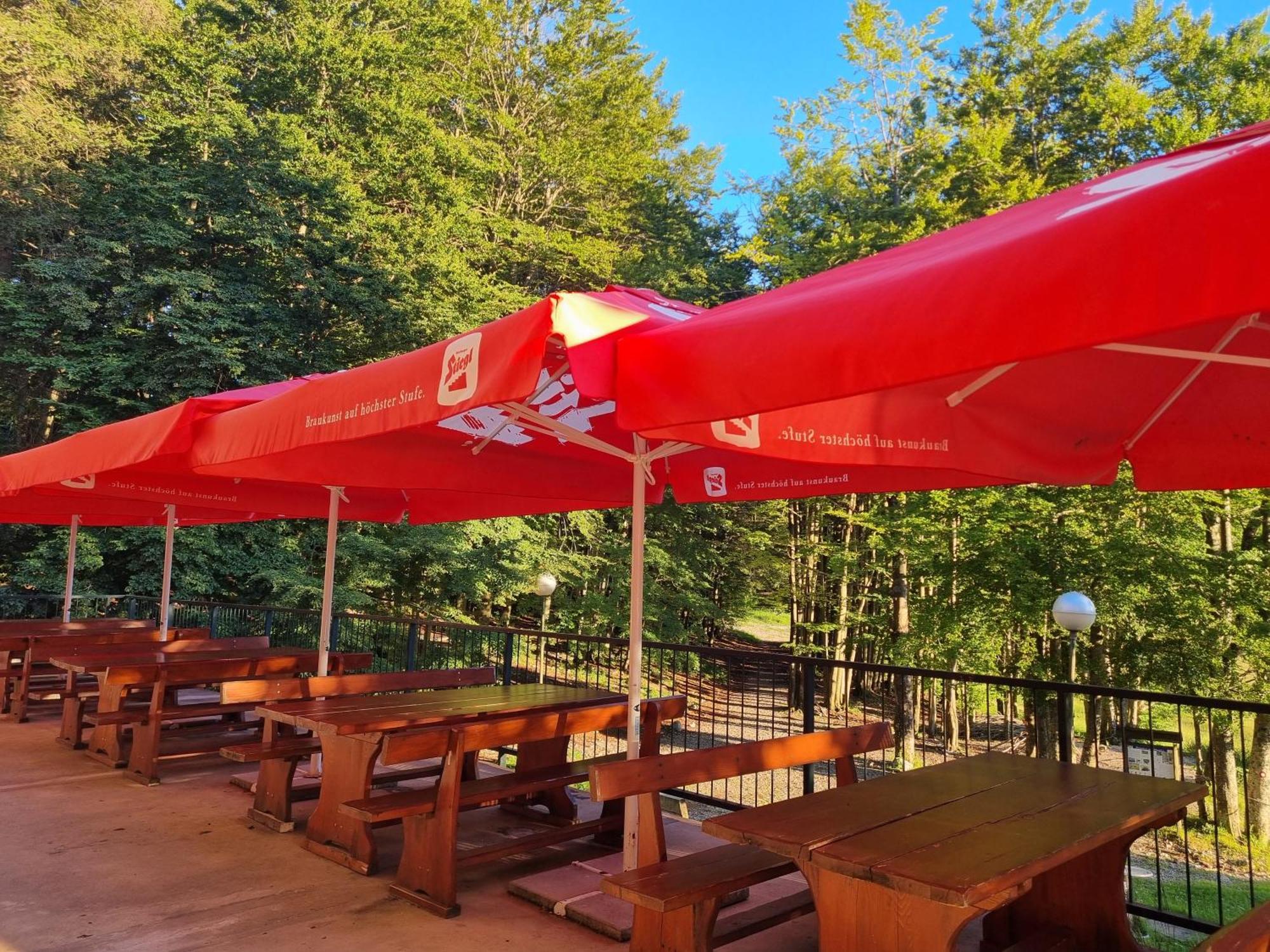 Great Mountain B&B Platak Buitenkant foto
