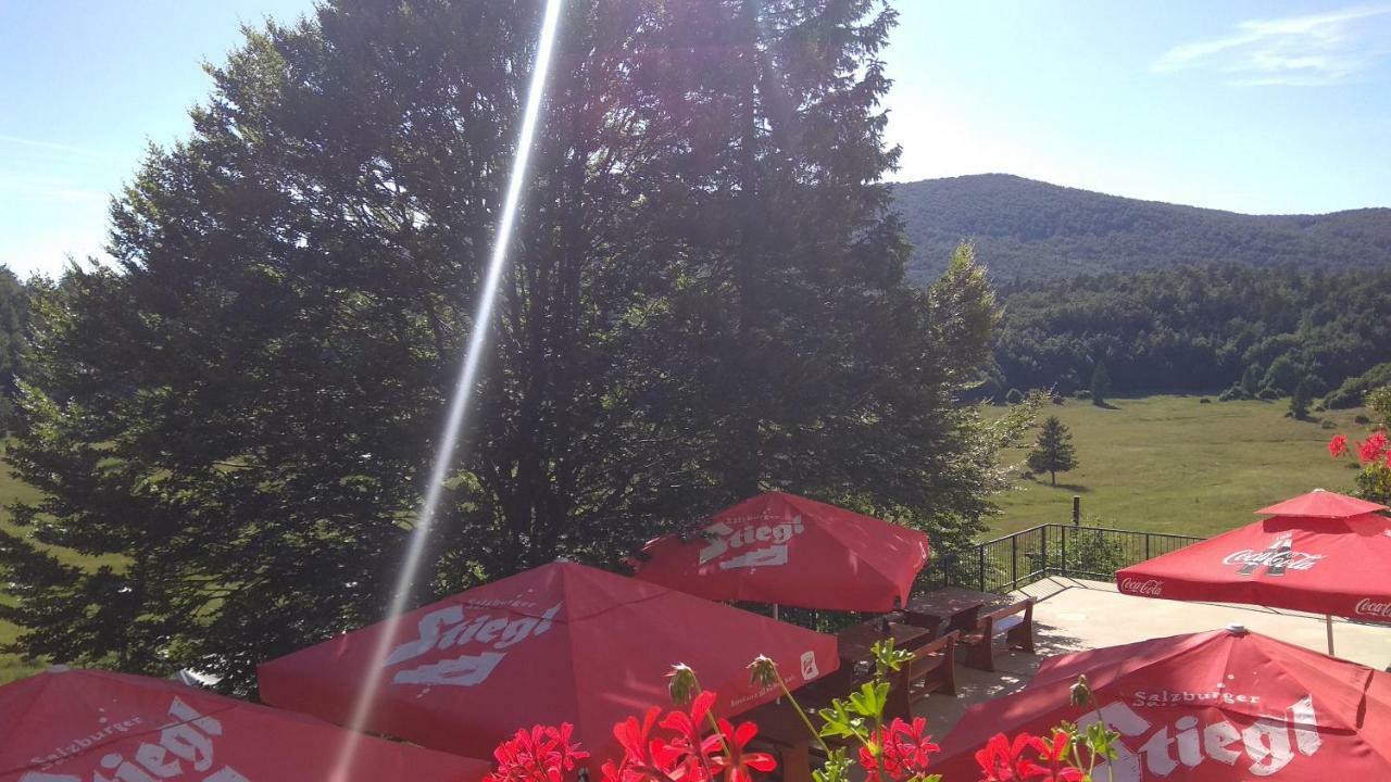 Great Mountain B&B Platak Buitenkant foto